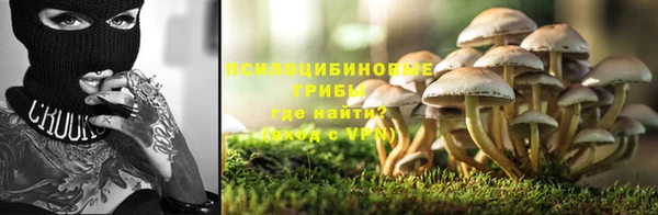 МДПВ Пересвет