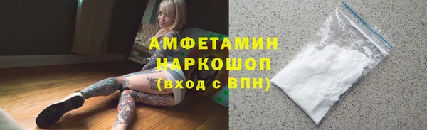 МДПВ Пересвет