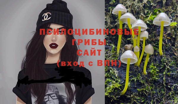 mdpv Алзамай