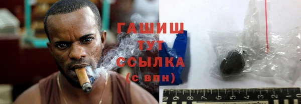 МДПВ Пересвет
