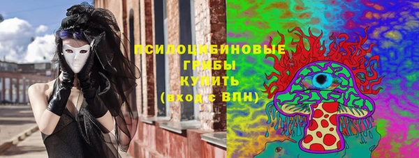 молекула духа Алексеевка