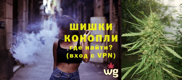 МДПВ Пересвет