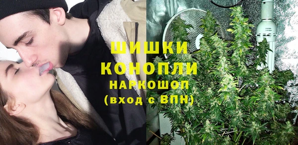 молекула духа Алексеевка