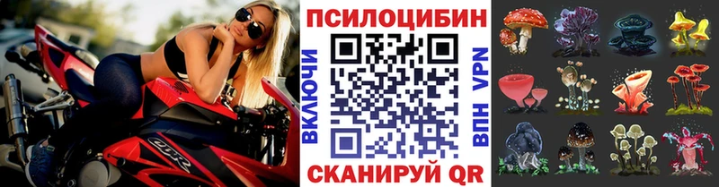 где найти это формула Галлюциногенные грибы GOLDEN TEACHER Бикин